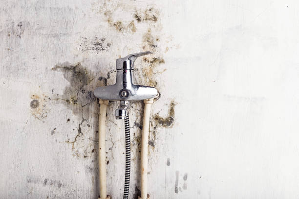 Best Water Damage Restoration  in Mahanoy City, PA