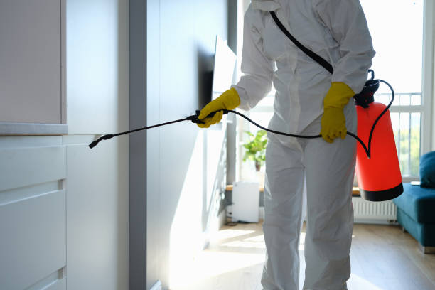 Best Mold Cleaning Services  in Mahanoy City, PA
